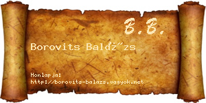 Borovits Balázs névjegykártya